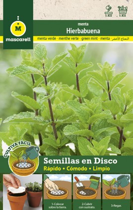 Menthe verte - DISCO 8 cm