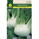 FLORENCE FENNEL