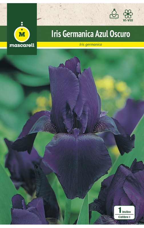 https://www.mascarellsemillas.com/1100-large_default/iris-germanica-azul-oscuro.jpg