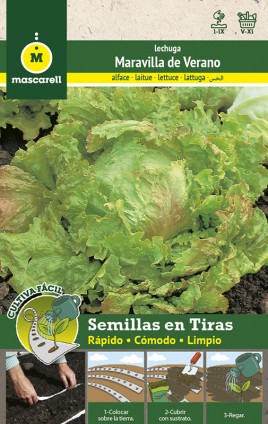 Lechuga Maravilla de Verano - TIRA 5 m