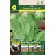 Lettuce Romana Hortelana - STRIP 5 m