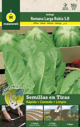 Lechuga Romana Hortelana - TIRA 5 m