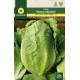 LETTUCE VALLADOLID