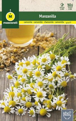 CHAMOMILE