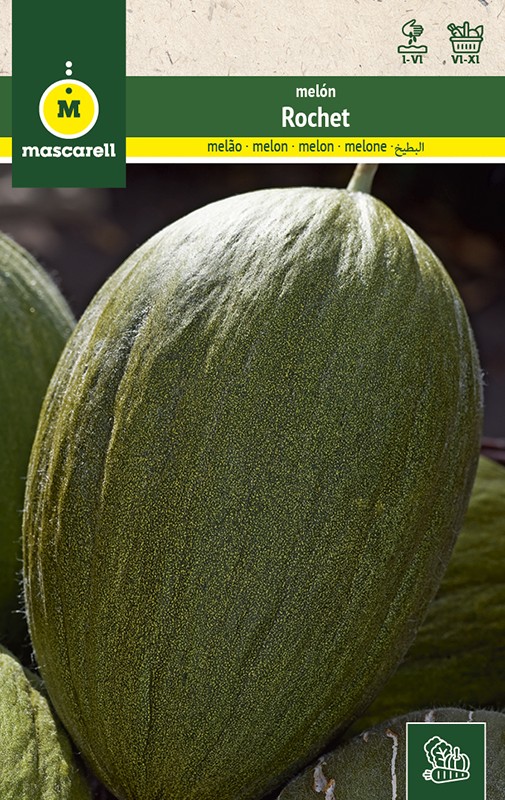 MELON JAUNE D'OR - Mascarell Semillas