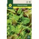 LETTUCE MIX