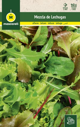 LETTUCE MIX