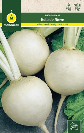 TURNIP SNOWBALL