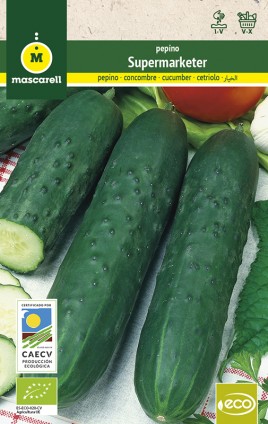 Cucumber Marketmore 70 "RAINBOW-ECO"