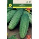 CUCUMBER POTOMAC F1