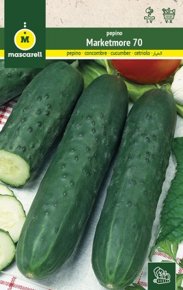 CUCUMBER MARKETMORE