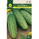 CUCUMBER WISCONSIN SMR-58