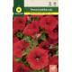 DWARF COMPACT RED PETUNIA