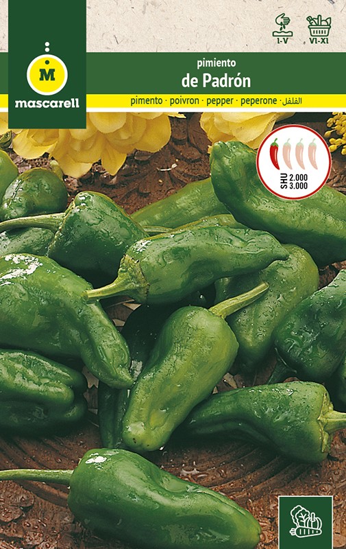 PIMENTOS PADRON