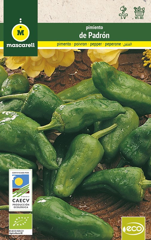 PIMENTOS GALEGOS