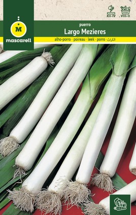 LEEK MEZIERES