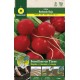 Radish Redondo Rojo - STRIP 5 m