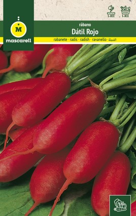 RADISH DATIL RED