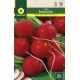 RADISH ROUND RED