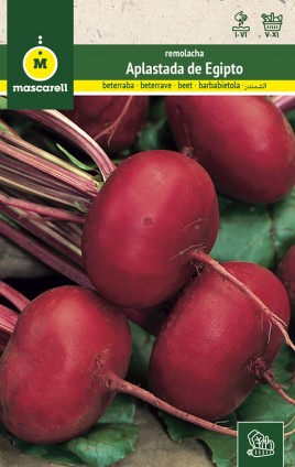 BEETROOT D´EGYPTE