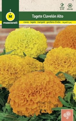 TALL DOUBLE MARIGOLD MIX