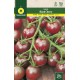 TOMATE BLACK CHERRY