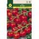TOMATOES FOR HANGING