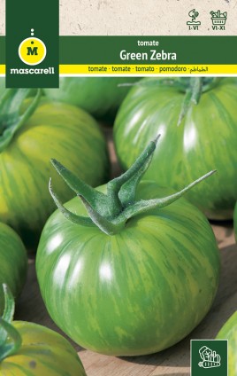 TOMATO GREEN ZEBRA