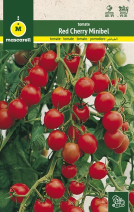 TOMATE RED CHERRY