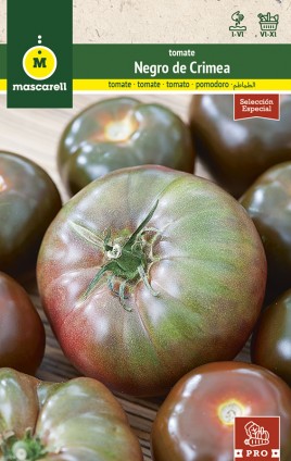 TOMATO BLACK CRIMEA