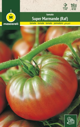 TOMATO SUPER MARMANDE