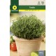 THYME