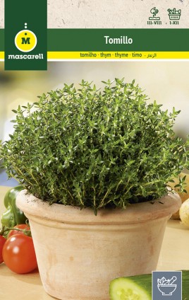 THYME