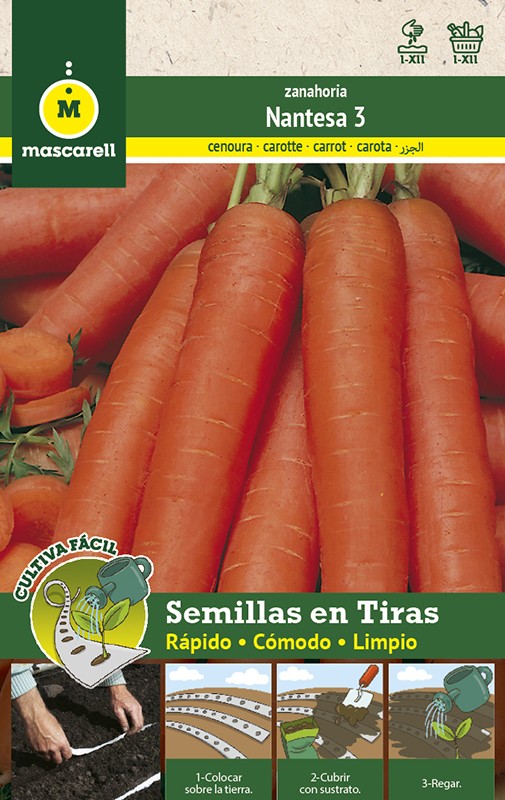 Carrote Nantesa - TIRA 5 m