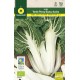 SWISS CHARD WITH WIDE, WHITE STEM 2 "RAINBOW-ECO"