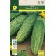 Cucumber Wisconsin SMR58 "RAINBOW-ECO"