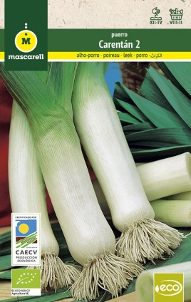 Leek Carentan 2 "RAINBOW-ECO"