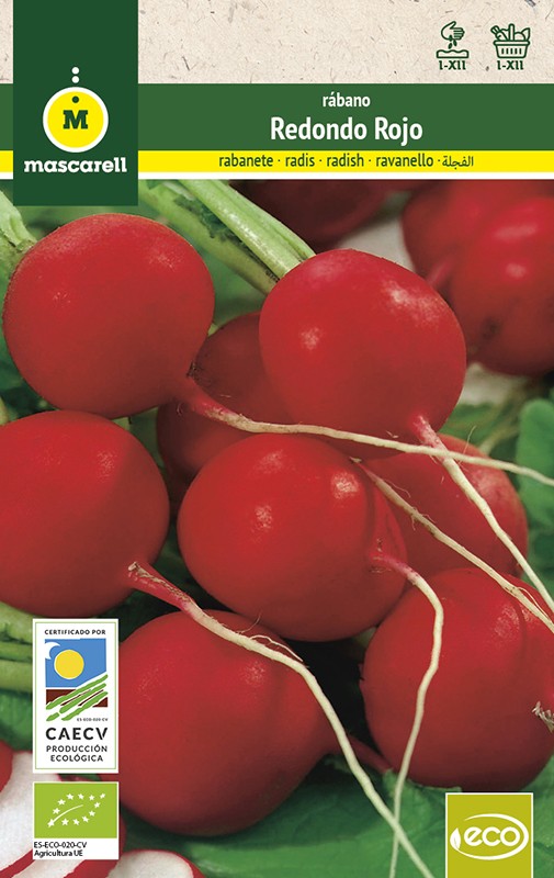 RADISH Redondo Saxa "RAINBOW-ECO"