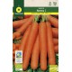 Carrot Nantesa 2 "RAINBOW-ECO"