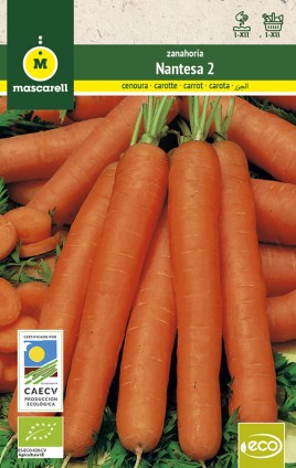 Carrot Nantesa 2 "RAINBOW-ECO"