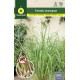 CITRONELA (LEMONGRASS)