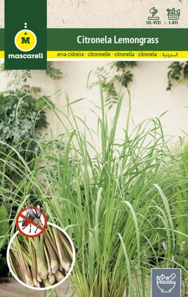 CITRONELA (LEMONGRASS)