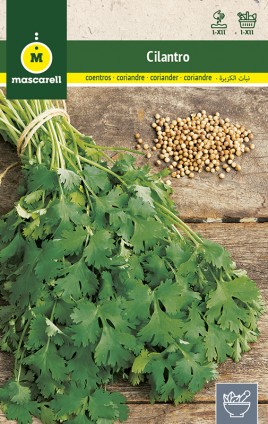 CORIANDER