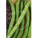 Broad Bean Extra-Early de Grano Violeta