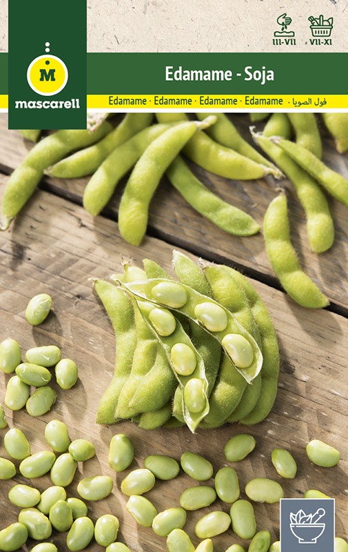 EDAMAME - SOY BEAN  (Glycine max)