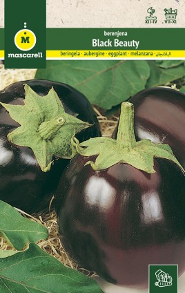 AUBERGINE BEAUTÉ NOIRE