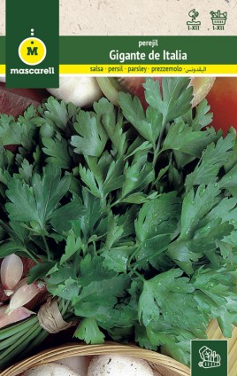 PARSLEY GIGANTE D´ITALIA