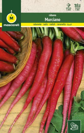 RADISH MURCIANO