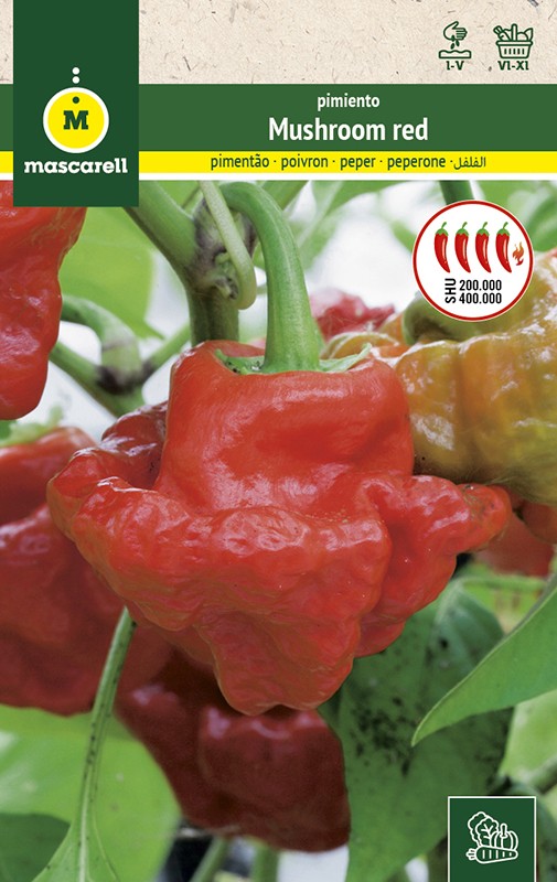 PIMIENTO MUSHROOM RED