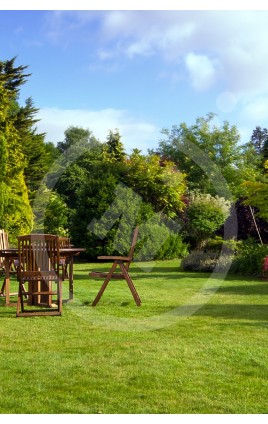 Rustic-Basic